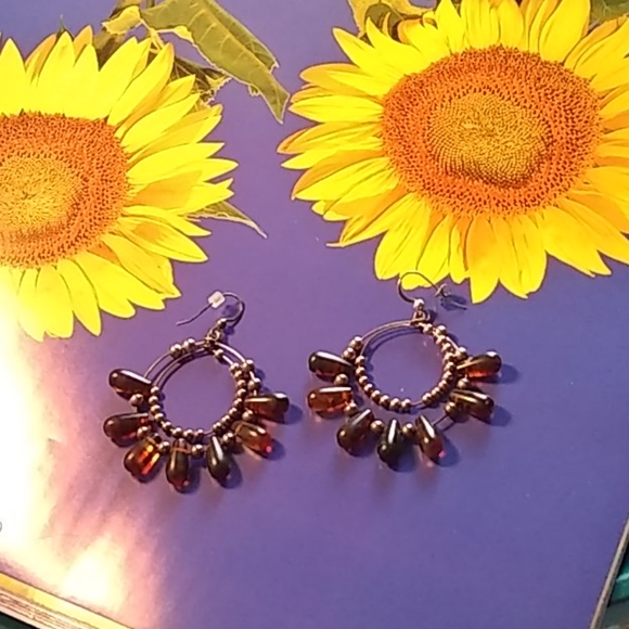 Amber Necklace/Earrings, Brown, Magnetic Closure - Picture 3 of 5